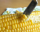 ♣歯に挟まらないとうもろこしの食べ方♣作り方4写真