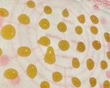 はちみつゆず飴　手作り簡単飴♡喉に優しい作り方5写真