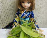 リカちゃん♡絹さやトマト白だし椀ꕤ｡作り方1写真