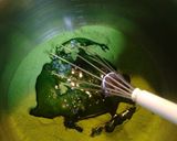 抹茶のレアチーズケーキ作り方8写真