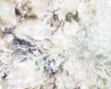 お年寄り絶賛シリーズ☆牡蠣☆豚骨スープ☆作り方4写真