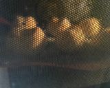 ミニフランスパン　90分以内に焼き上がる作り方11写真