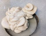 レモン醤油で真鱈白子！作り方4写真
