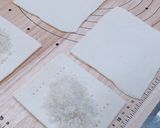 生りんごのアップルパイ♡パイシートで簡単作り方6写真