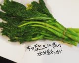 菜の花のお浸し作り方5写真
