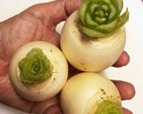 カブのポトフ作り方1写真