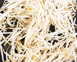 もやしのオイスターソース炒め作り方1写真