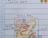 高校1年女子お弁当♡2020.12.08作り方4写真