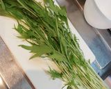 簡単菜飯!水菜の混ぜご飯作り方1写真