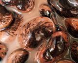 アムウェイのお鍋　大きな大きな　紫花豆作り方4写真