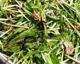 水菜サラダ　ツナ入り簡単サラダ作り方2写真