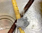 おうち居酒屋❤コク旨!とろけるもつ煮ஐஃ作り方10写真