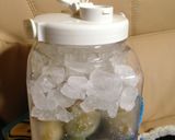 簡単！すぐ出来る梅ジュースお子様にも！作り方7写真