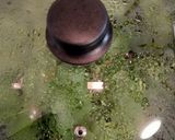 キャベツと鯖の味噌マヨ炒め作り方3写真