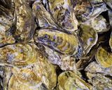 蒸し汁も味わう!蒸し牡蠣(殻付き)作り方1写真