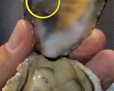 蒸し汁も味わう!蒸し牡蠣(殻付き)作り方7写真