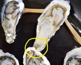 蒸し汁も味わう!蒸し牡蠣(殻付き)作り方11写真