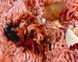 ふつうの餃子作り方5写真