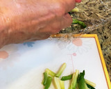 簡単♡あさつきの芽の芥子酢味噌和え作り方1写真