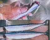 骨まで食べられる！さんまのコンフィ作り方1写真