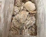 カリッとジュワッな★我が家の鶏の唐揚げ作り方4写真