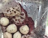 蓮根とうずら卵のゆかり味☆彩りに☆作り方1写真