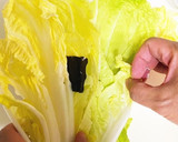 基本のお漬物★白菜の塩漬け 浅漬け作り方8写真