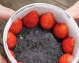 生チョコムースストロベリーケーキ作り方3写真