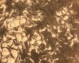 オオバコでわらび餅風作り方1写真