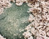 黒麻婆豆腐作り方13写真