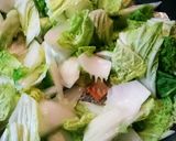 節約♪白菜と鶏だんごのやわらか煮作り方5写真