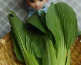 リカちゃん♡チンゲン菜椎茸オイとろうま煮作り方1写真