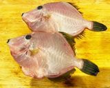 【簡単】カワハギの剥ぎ方【図解】作り方7写真