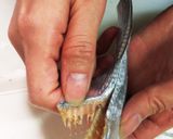 簡単！タチウオのアクアパッツァ作り方3写真