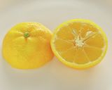 完熟すだち（ゴールデンすだち）お酒割り作り方6写真