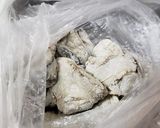 牡蠣とカリフラワーのオイスターソース炒め作り方5写真