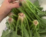 ほうれん草のナムル作り方1写真