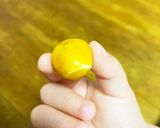 離乳食〜大人まで！コクうまかぼちゃサラダ作り方4写真