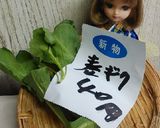 リカちゃん♡春菊ひき肉揚げ挟み(鍋具に)作り方1写真