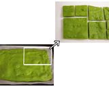 野菜とHMで☆クリスマスツリーのケーキ作り方5写真