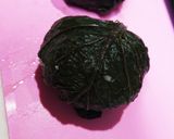 漬け樽重石必要なし！簡単高菜漬け作り方10写真