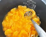 残念な、みかんの何でもピューレ作り方3写真