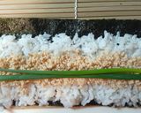 たらこと浅葱の細巻き　あて巻き作り方1写真