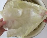 セルビア料理　簡易キセリクープスの作り方作り方6写真