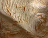 卵黄消費にカップケーキ作り方1写真