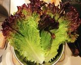【簡単おつまみ】納豆のレタス巻き作り方1写真