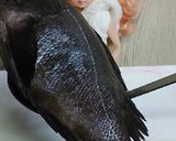 リカちゃん♡メバルの煮付け作り方2写真