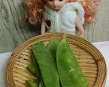 リカちゃん♡メバルの煮付け作り方14写真