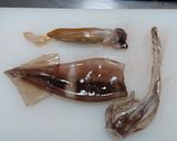 焼き大根とイカの塩おでん(ワタミソ風味)作り方6写真