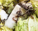 白菜と塩昆布のサラダ作り方4写真